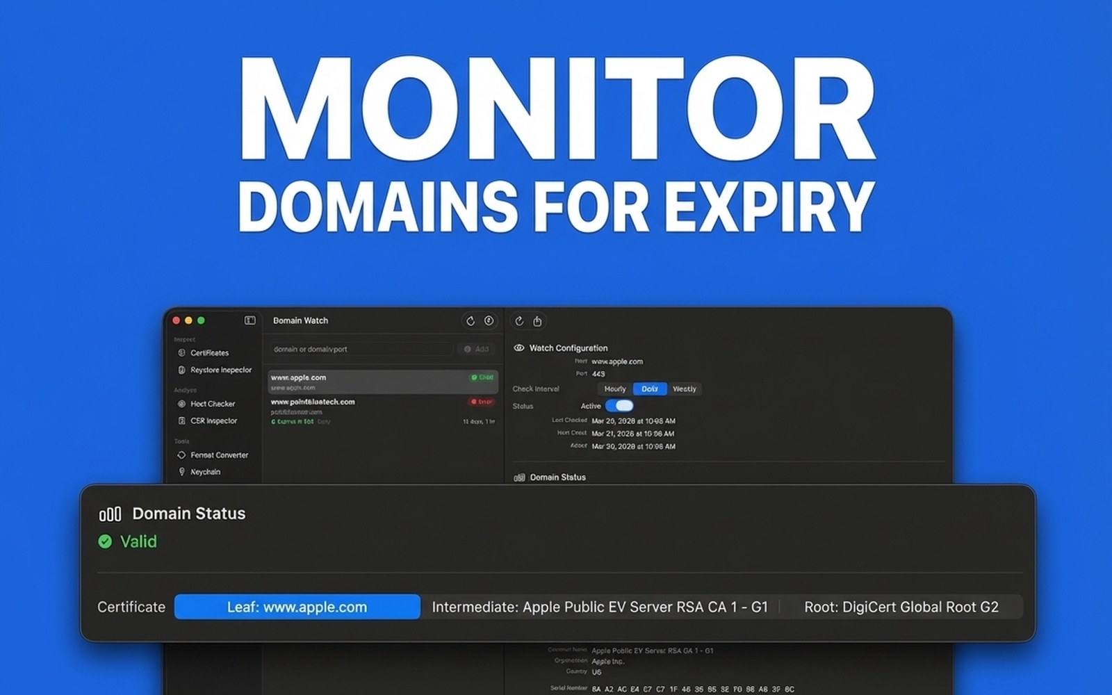 Monitor Domains for Expiry